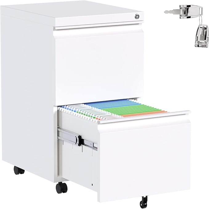 Aobabo Metal 2 Drawer Office File Cabinet with Lock, Under Desk Office Steel Files Cabinet on Wheels, 25.6''H Legal/Letter A4 Size, Fully Assembled Except Wheels,White