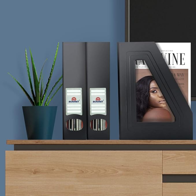 Acrimet Magazine File Holder, Durable Rack, Space-Saving Organizer (Plastic) (Black Color) (2 pack)