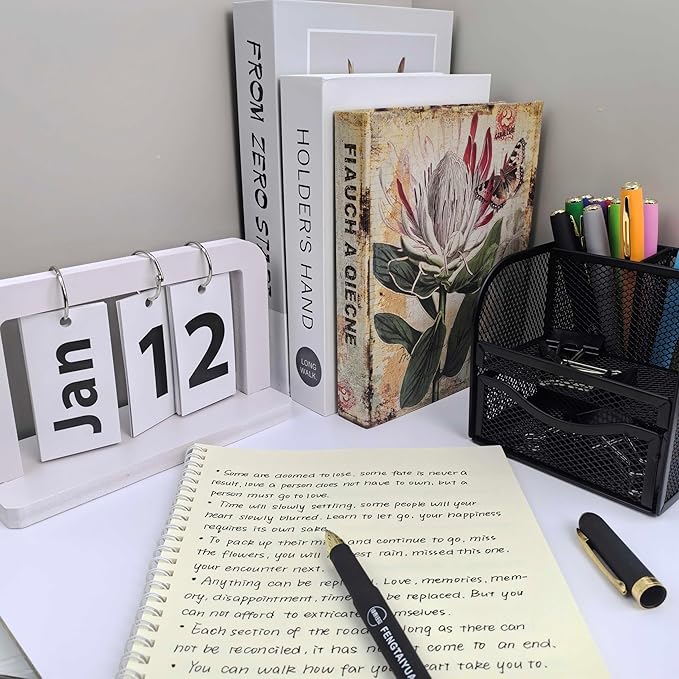 Fengtaiyuan 038P18Pro, Gel Ink Rollerball Pens, Black Ink, Ultra FIne 0.38mm, Writting Pens, Smooth, 18 Pack (Black-0.38mm)