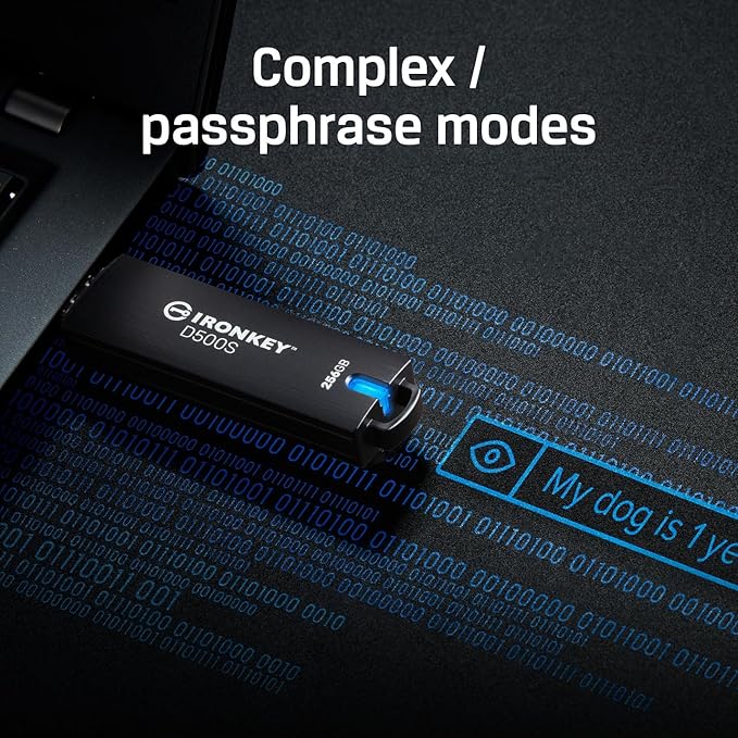 Kingston Ironkey D500S 16GB Encrypted Flash Drive | Dual Hidden Partition | FIPS 140-3 Level 3 | XTS-AES 256-bit | BadUSB and Brute Force Protection | Multi-Pin Option | IKD500S/16GB,Black