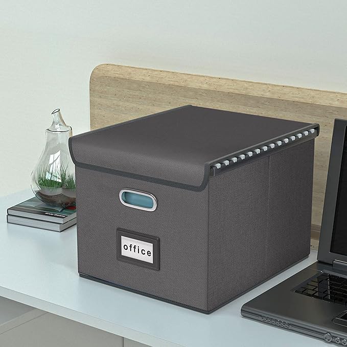 Huolewa File Organizer Box with Lid, Collapsible File Folder Organizer for Office Document Storage, Filing Box with Plastic Slide for Letter/Legal Size Hanging Files, Dark Grey